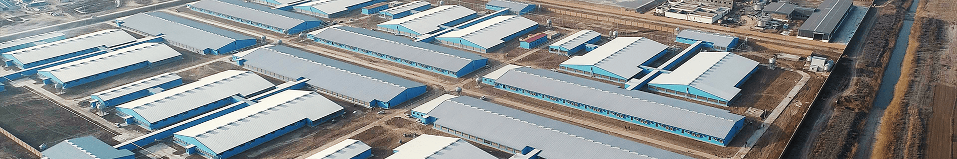 社會(huì)責(zé)任